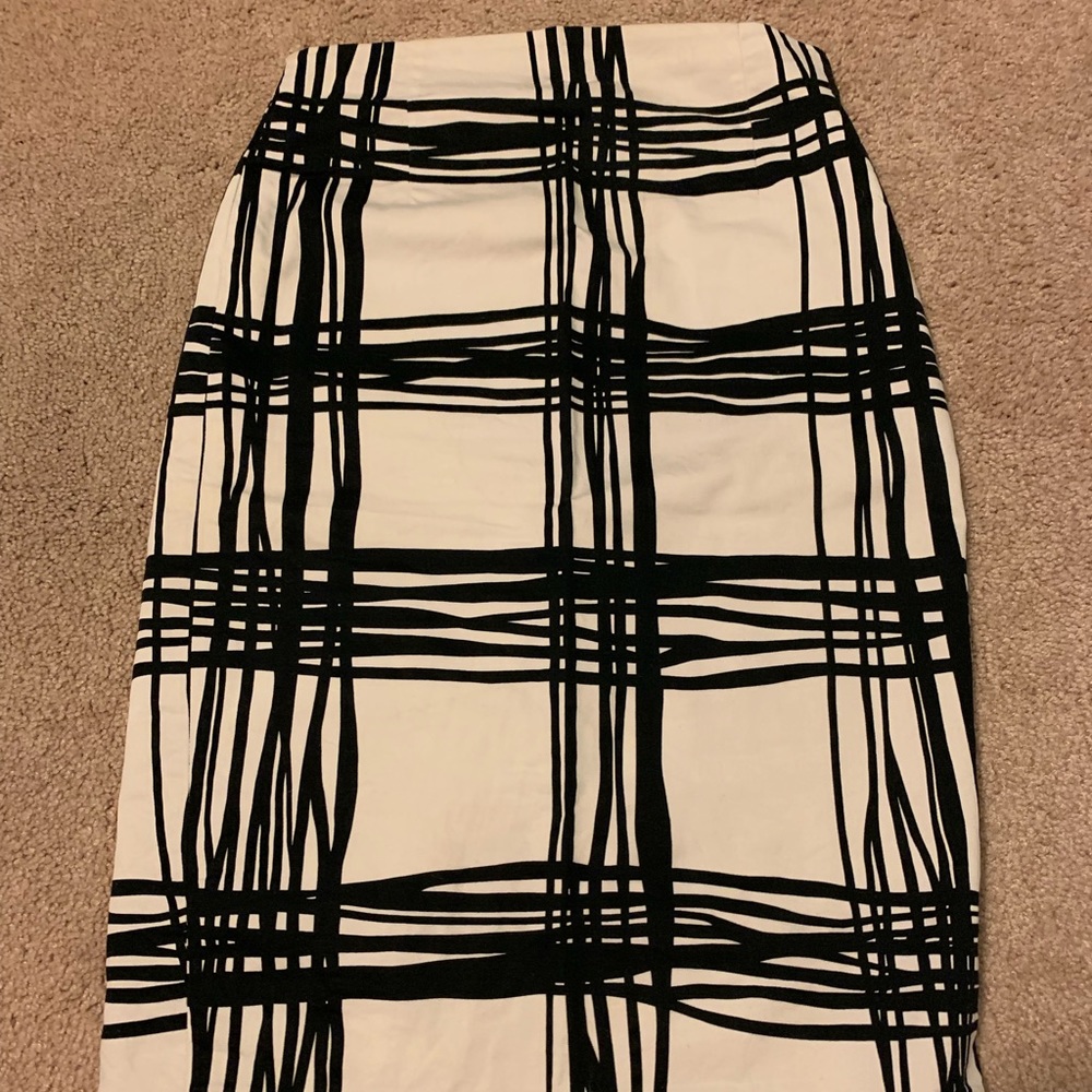 Express Pencil Skirt